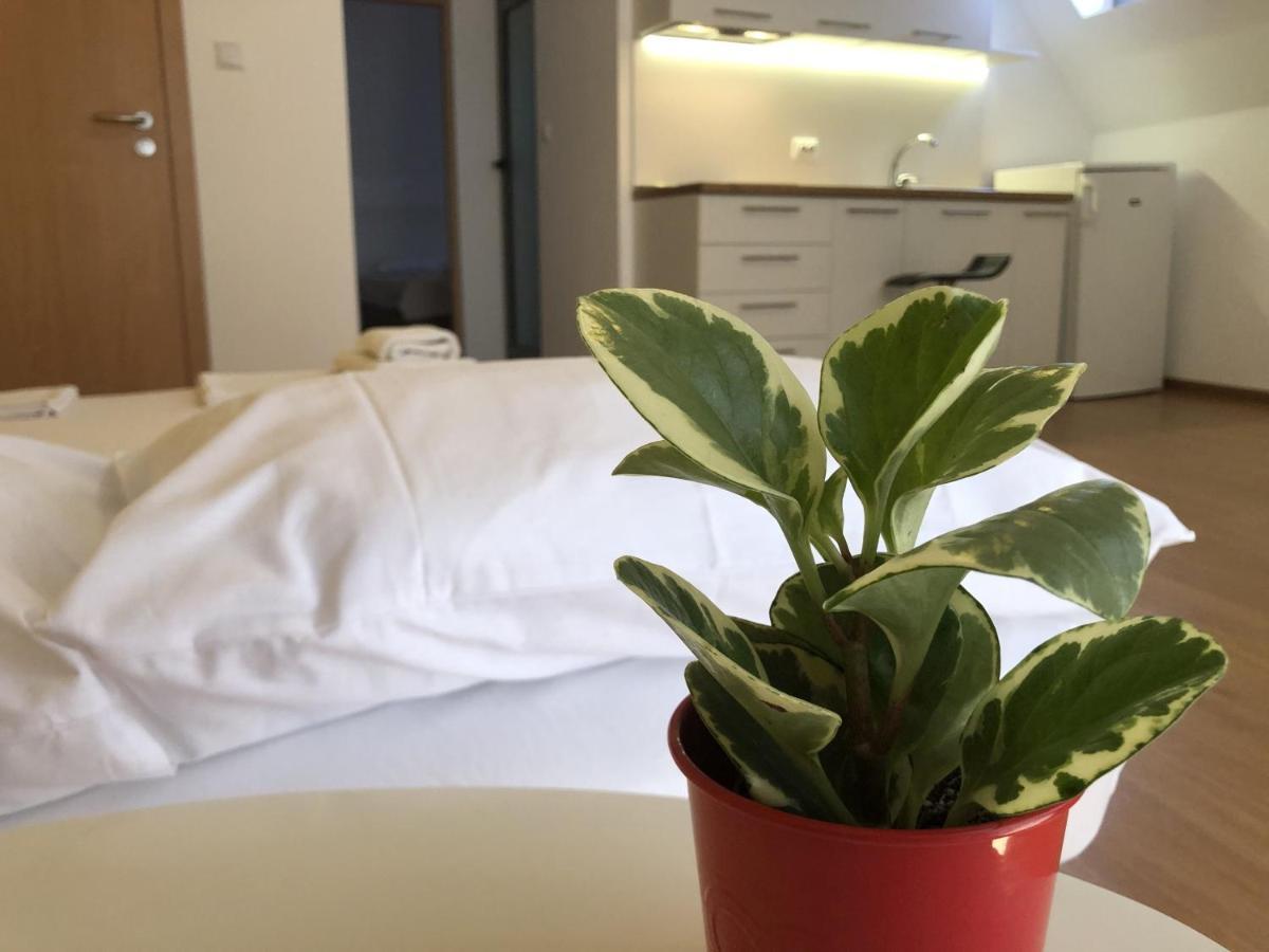 Aparthotel Elly Поморие Экстерьер фото